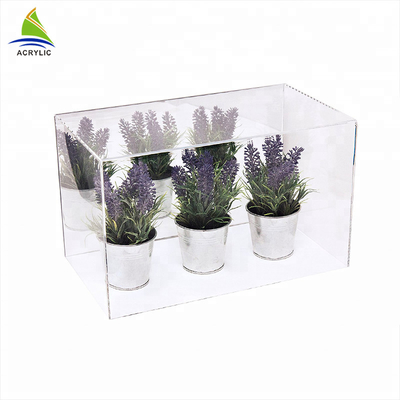 Quadratische moderne Acrylschaukasten-Anzeige Acrylhouseplant-Kasten-Flachheit