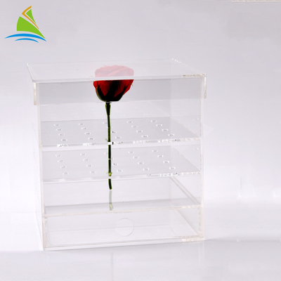 Plexiglas-klare Acrylmagazin-Acrylblumen-kundenspezifischer Verpackenkasten für konserviert 25 Rosen