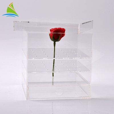 Plexiglas-klare Acrylmagazin-Acrylblumen-kundenspezifischer Verpackenkasten für konserviert 25 Rosen