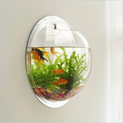 Modernes Acrylschaufenster kundengebundenes an der Wand befestigtes klares rundes Acrylaquarium
